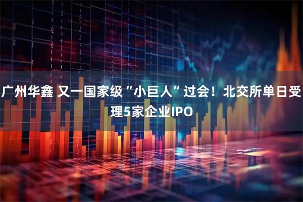 廣州華鑫 又一國(guó)家級(jí)“小巨人”過(guò)會(huì)！北交所單日受理5家企業(yè)IPO