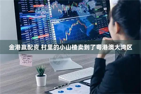 金港贏配資 村里的小山楂賣到了粵港澳大灣區(qū)