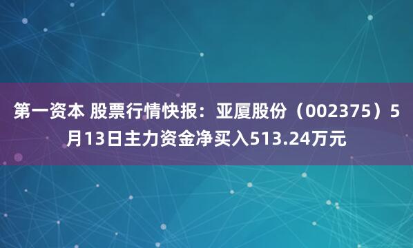 第一資本 股票行情快報：亞廈股份（002375）5月13日主力資金凈買入513.24萬元