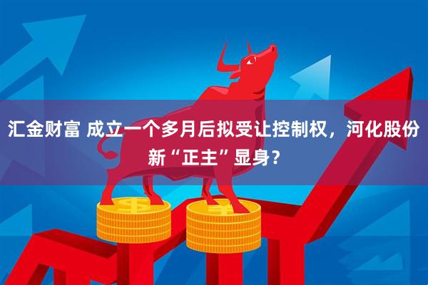 匯金財(cái)富 成立一個(gè)多月后擬受讓控制權(quán)，河化股份新“正主”顯身？